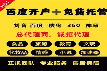 某知名企业竞价推广策略全解析